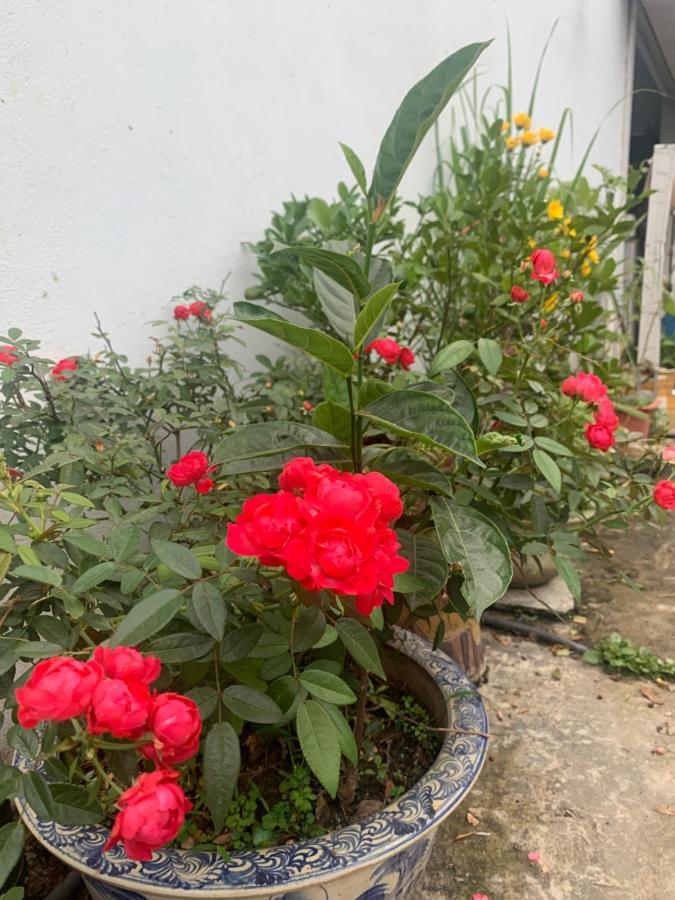 Phuong Linh Hotel Bao Lac Luaran gambar