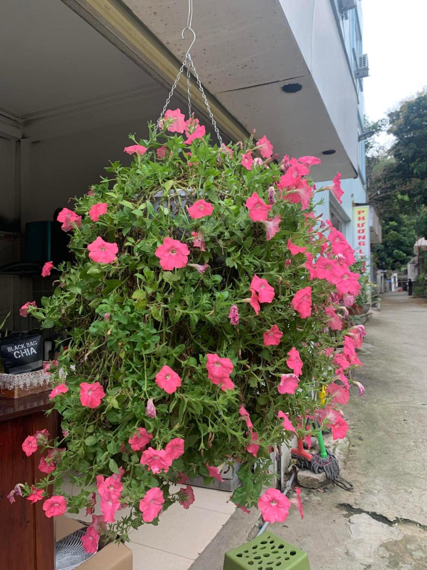 Phuong Linh Hotel Bao Lac Luaran gambar